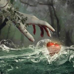 Meet your Posher, Estella